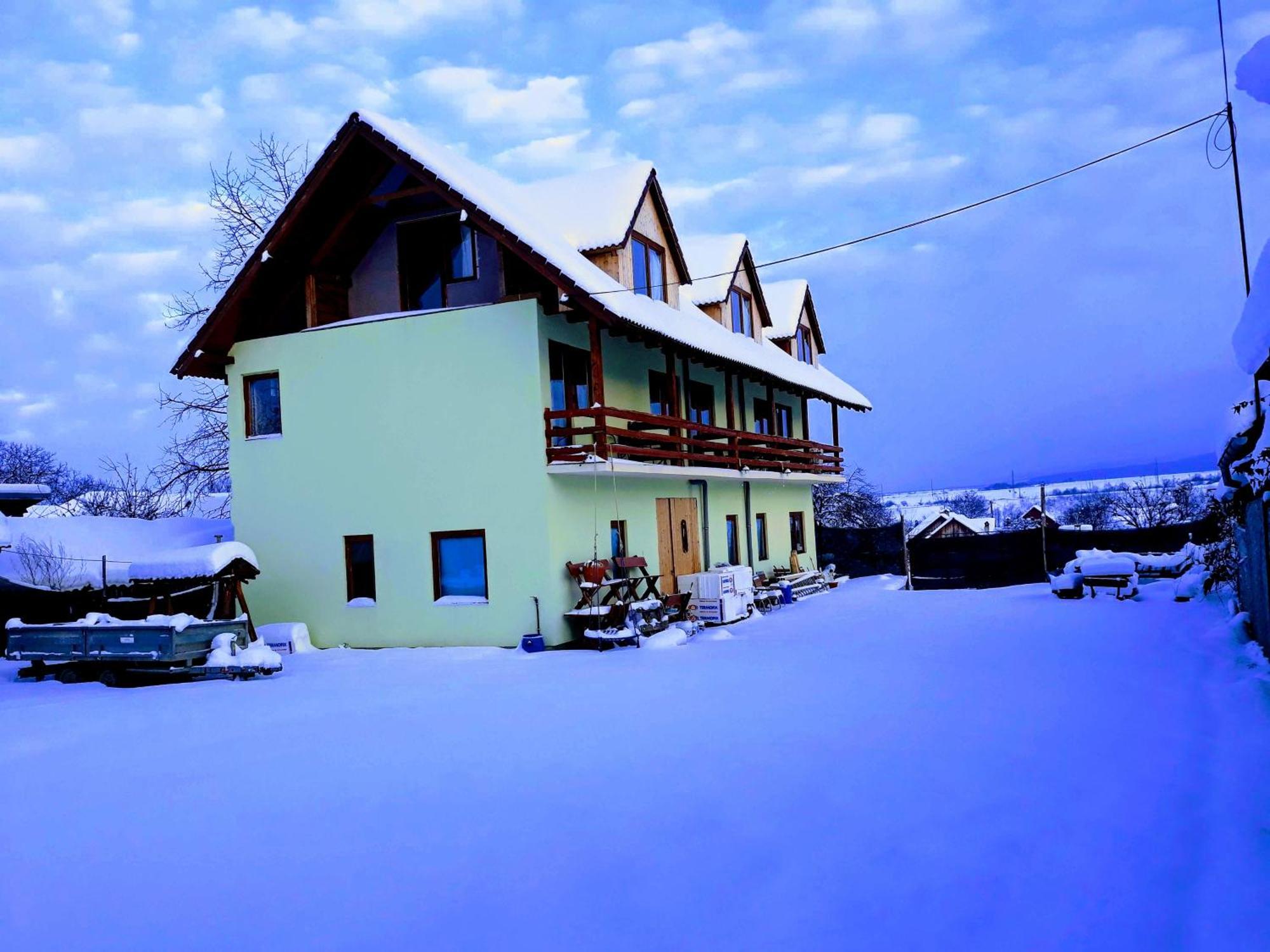 Pensiunea Leia Transfagarasan Cartisoara Exterior photo