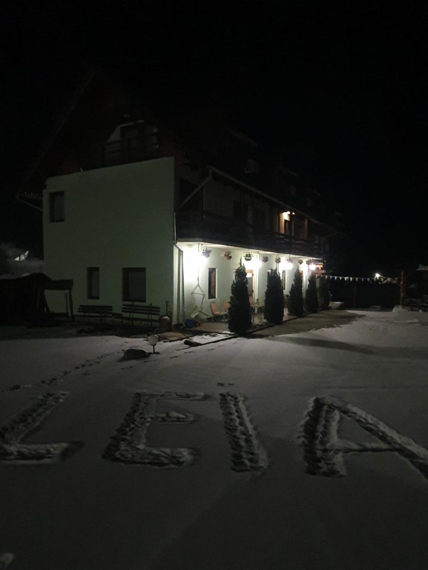 Pensiunea Leia Transfagarasan Cartisoara Exterior photo