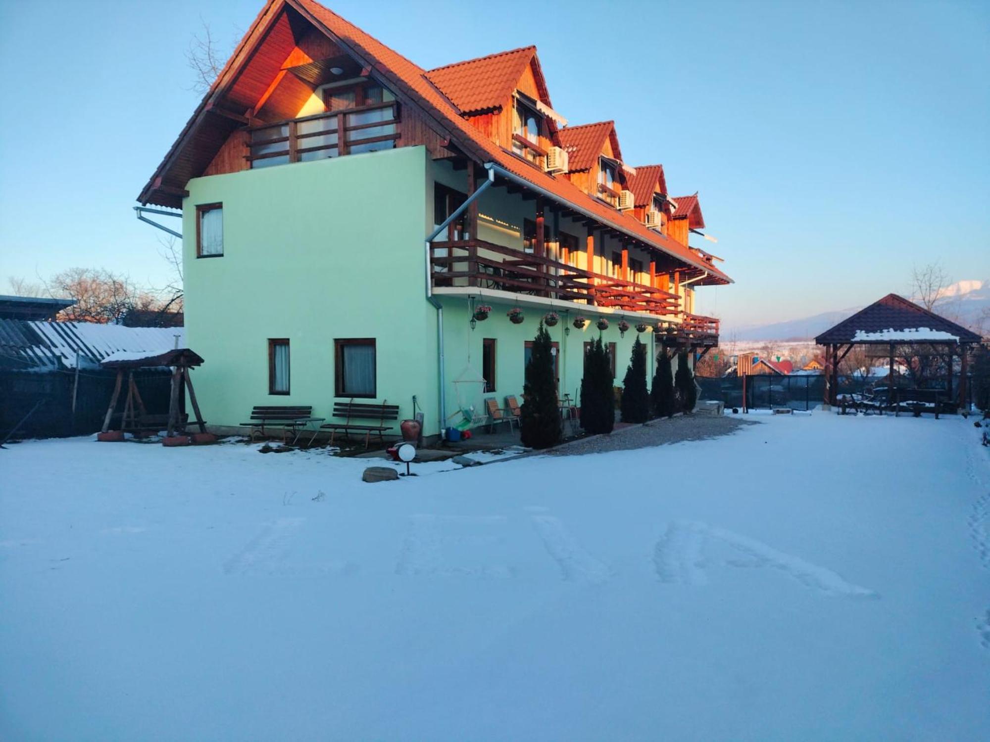 Pensiunea Leia Transfagarasan Cartisoara Exterior photo